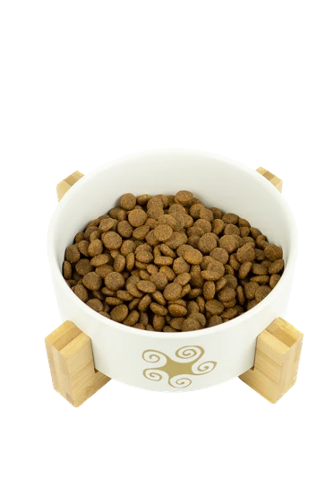 Bowl with nibbles Lenda Light Sterilized