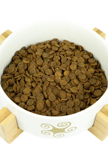 Bowl with nibbles Lenda Puppy Mini first bite