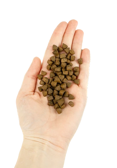 Nibble Lenda Sensitive Sterilized