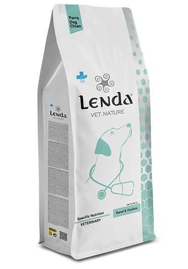 Renal & Oxalate Dog
