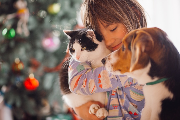 animais e dona