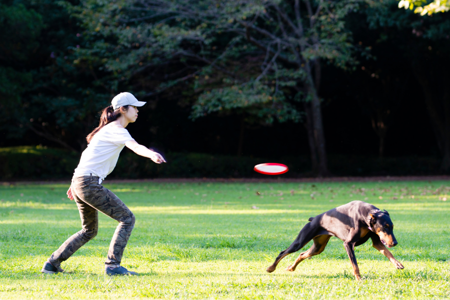 6 desportos para praticar com o teu cão