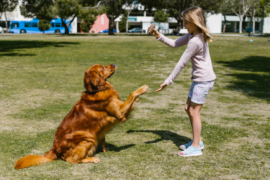 Os benefícios da relação entre animais de estimação e crianças