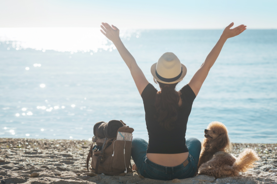 10 planos para fazer com o seu cão durante o verão!