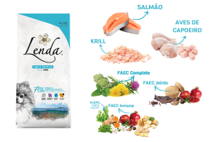 Lenda Mini: 5 novas receitas para cães
