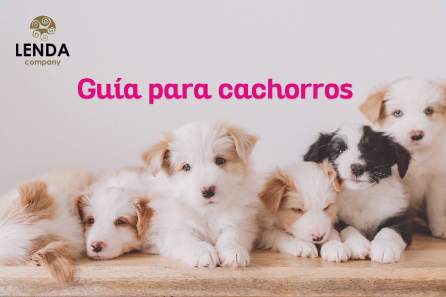 eBook Lenda Puppy