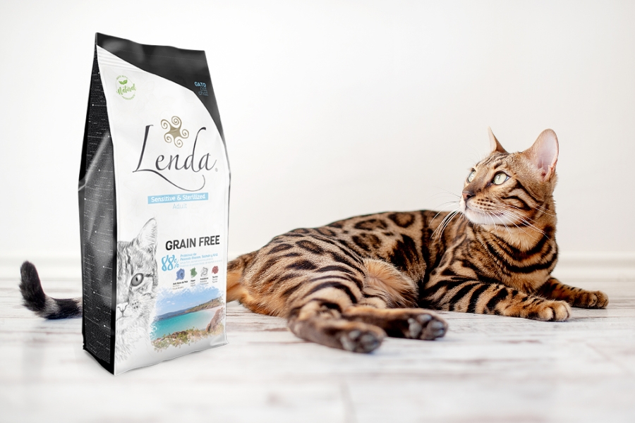 Alimentacao-para-gatos-com-alergias-e-intolerancias ração
