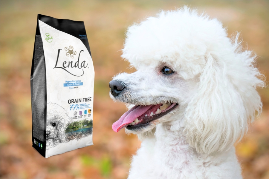 Qual a dieta ideal para um cão mini com alergias ou intolerâncias? ração