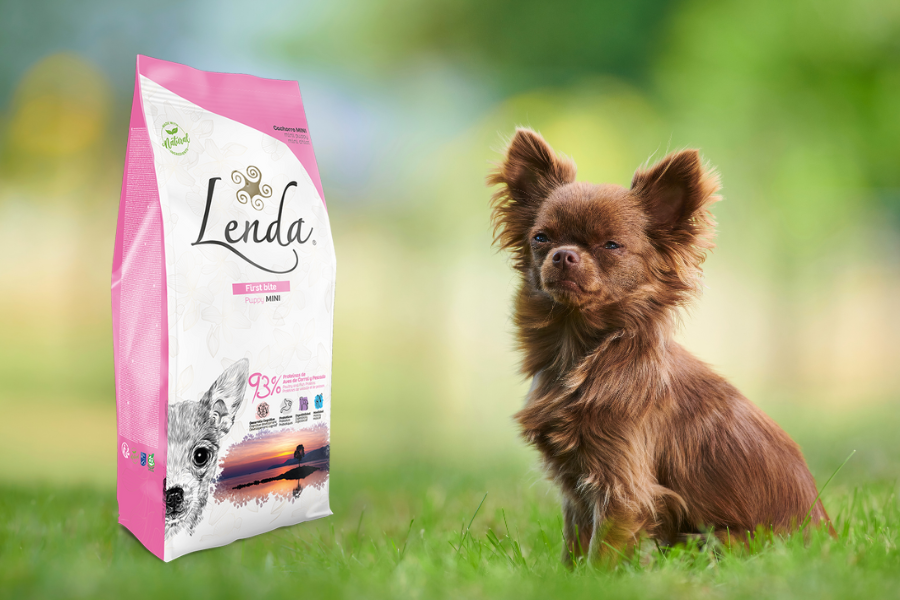 Como deve ser a alimentação de um cão de raça mini ou pequena? ração