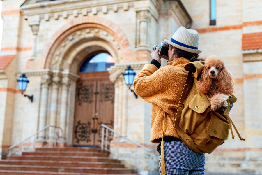 Homem com binóculos e chapéu a viajar com cão poodle numa mochila