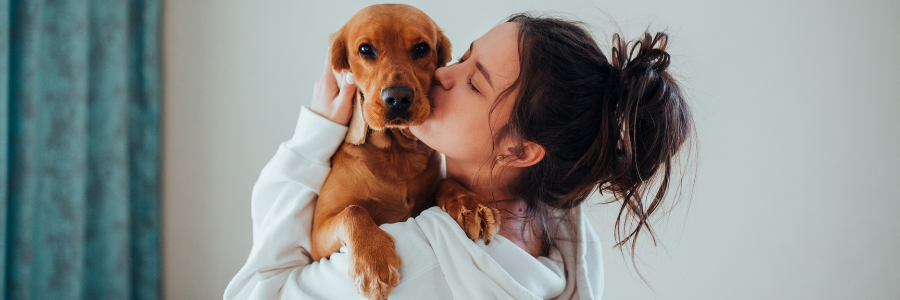 Ansiedade de Separação no teu Cão: 8 Dicas ansiedade cao