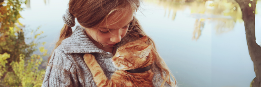 Animais e Crianças: 12 Dicas de Convivência Cães gatos crianças