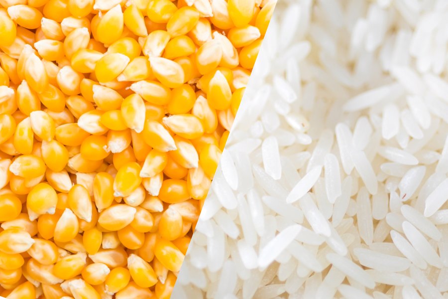 Milho e arroz