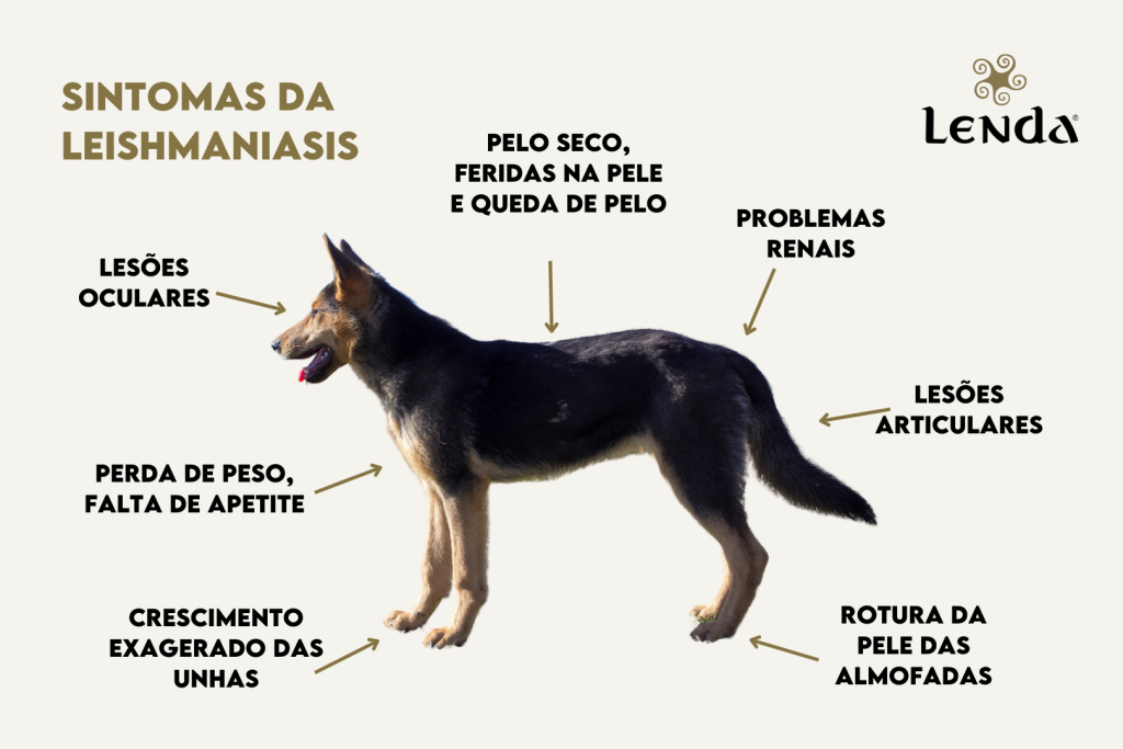 Leishmaniose