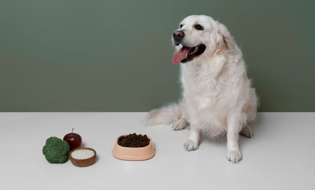 perro o gcachorro ou gato veganoato vegano