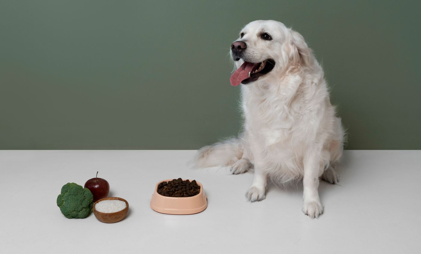 perro o gcachorro ou gato veganoato vegano