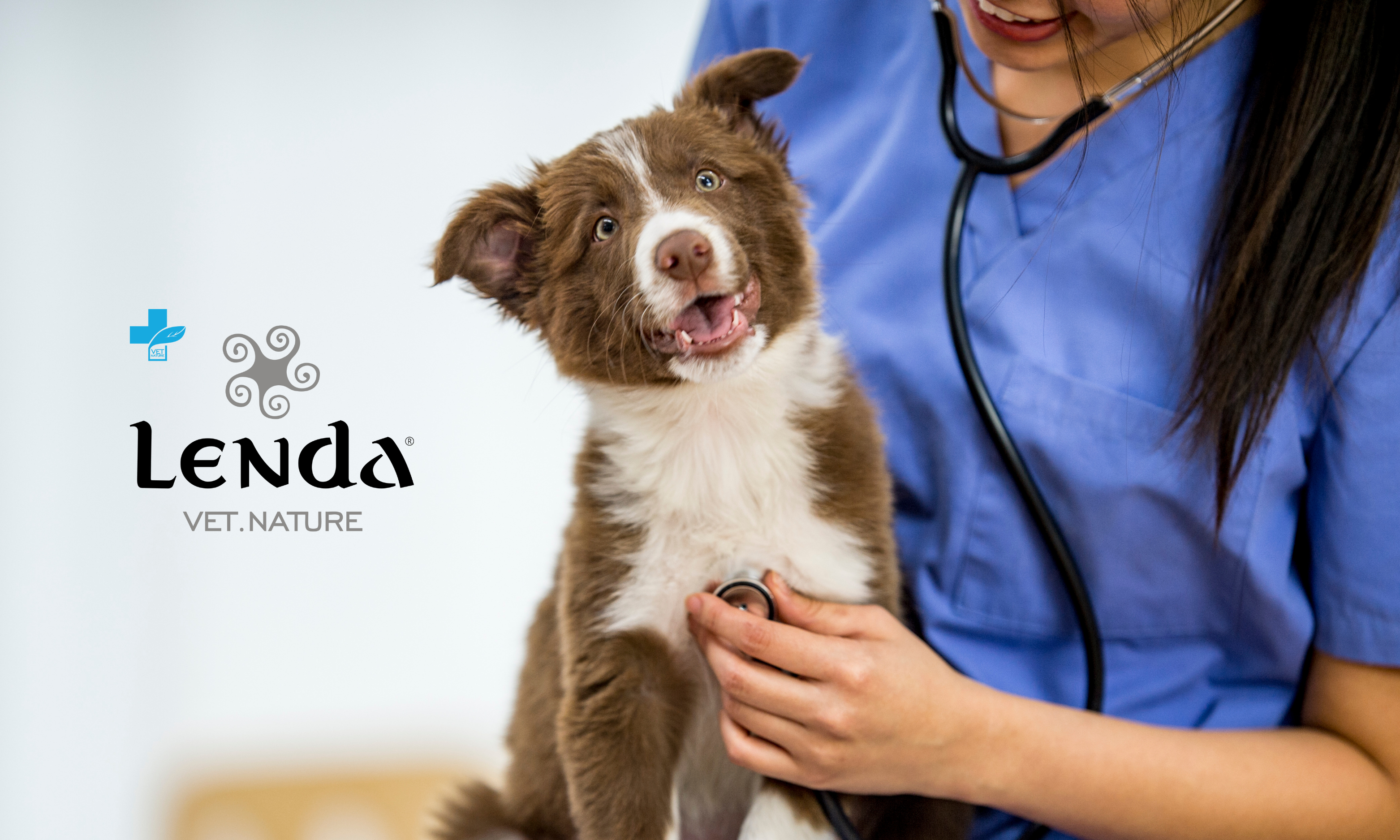 ração veterinária