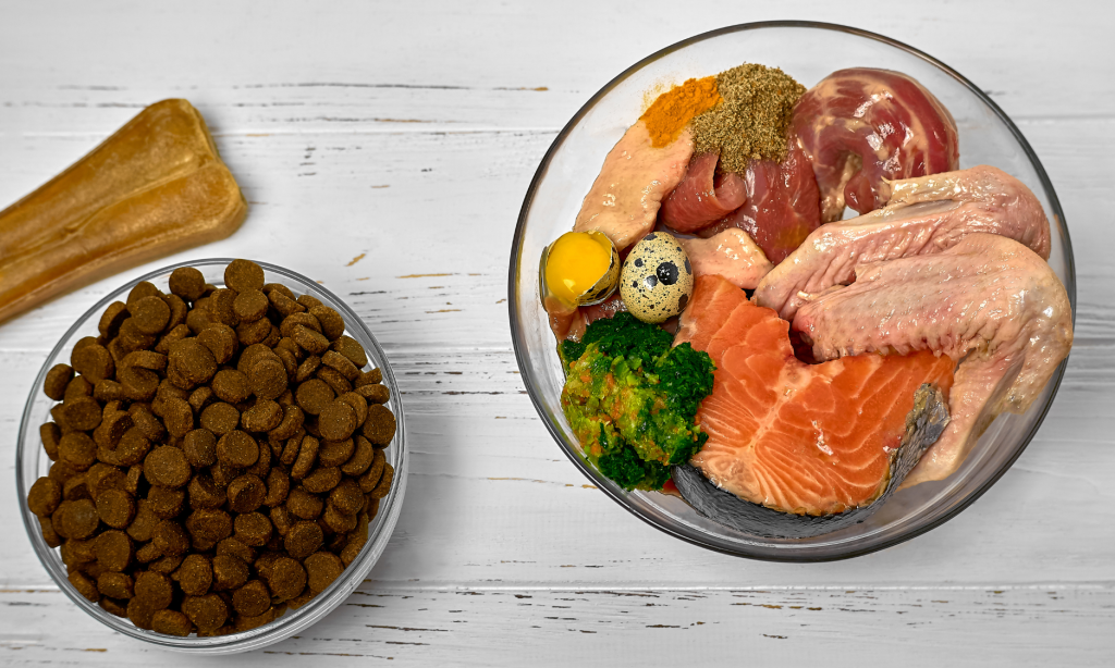 Ração natural, dieta BARF ou comida cozinhada?