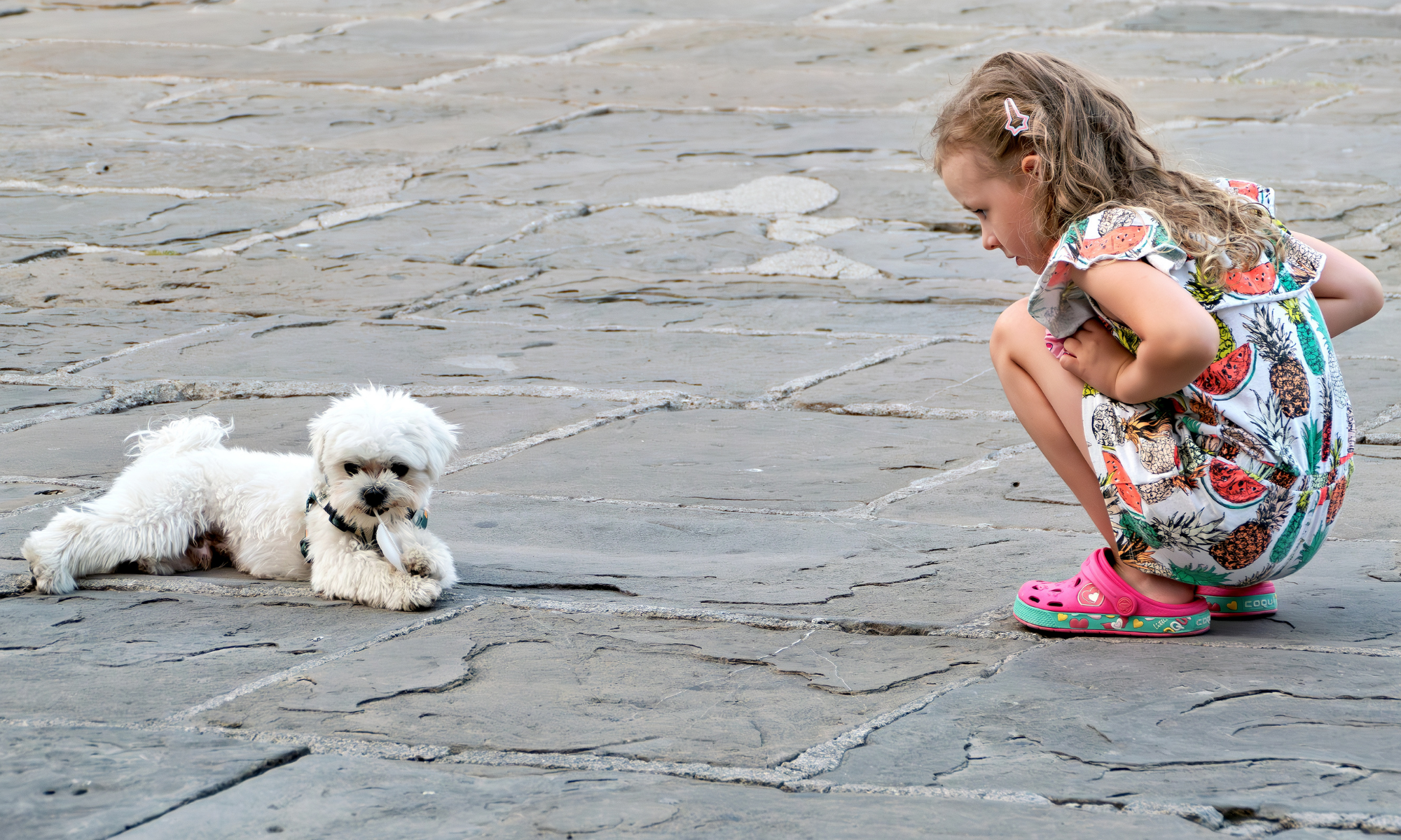 Melhores raças de cães para conviver com crianças