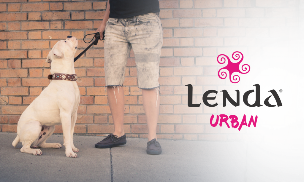 Qual é a diferença entre a Urban e as restantes gamas da Lenda? Lenda Urban: diferenças face às outras gamas