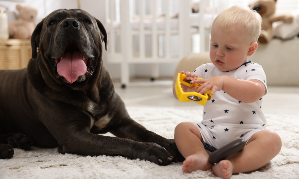 criação multiespécie: crianças com cães e gatos