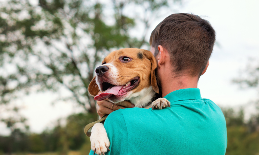 Novas obrigações e proibições para tutores de cães Tutores de cães e Lei de Bem-Estar Animal