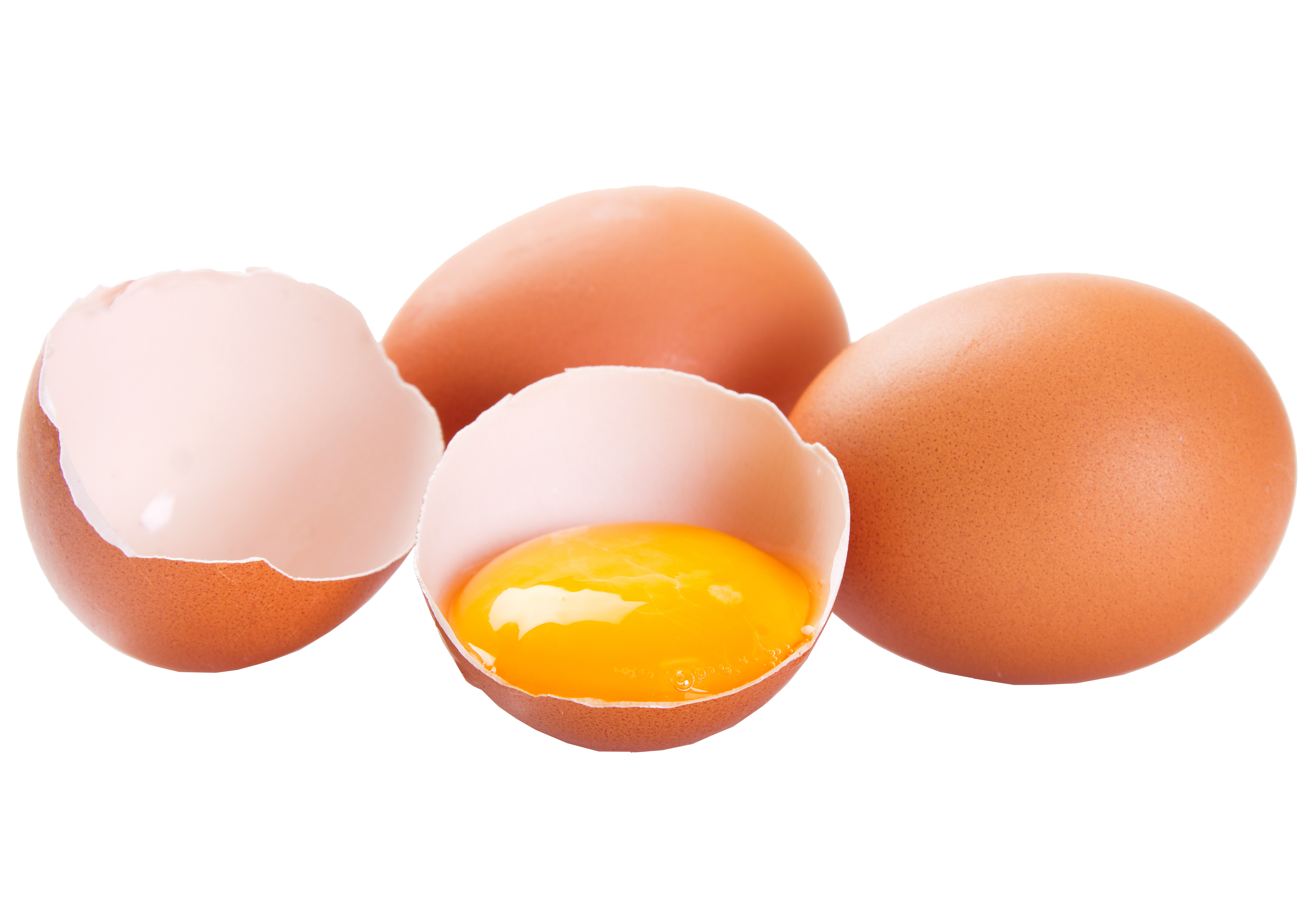 huevos huevos