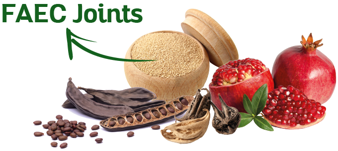 FAEC-Joints-1-1-1.png FAEC-Joints-1-1-1.png