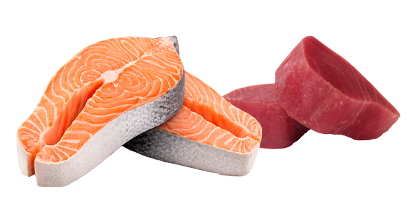 Salmon-y-atun-600x450px-1.png Salmon-y-atun-600x450px-1.png
